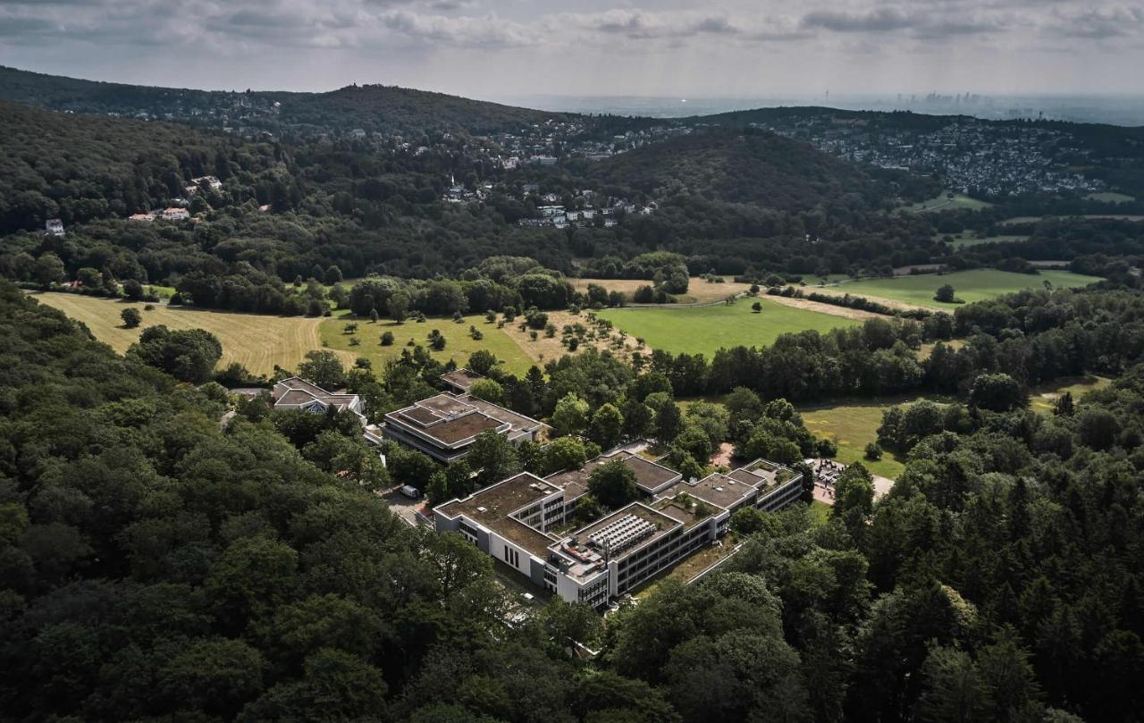 Отель Bold Campus Кёнигштайн  Экстерьер фото